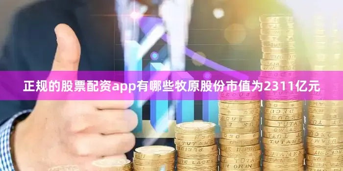 正规的股票配资app有哪些牧原股份市值为2311亿元