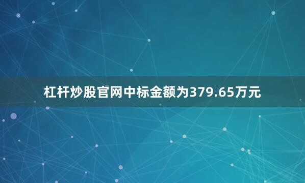 杠杆炒股官网中标金额为379.65万元