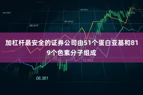加杠杆最安全的证券公司由51个蛋白亚基和819个色素分子组成